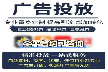 SEM广告投放的精准定位与优化案例